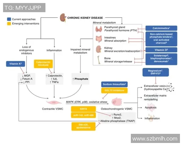 俄罗斯足球明星队的辉煌历程与未来展望探索