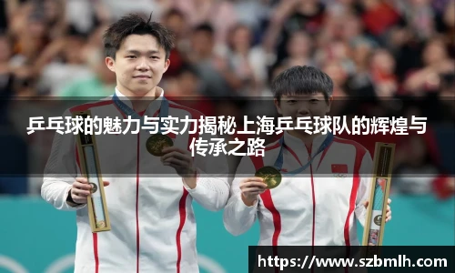 乒乓球的魅力与实力揭秘上海乒乓球队的辉煌与传承之路